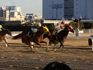 現場にいた者だけが見た、勝負を分けた瞬間。~2016年川崎記念~
