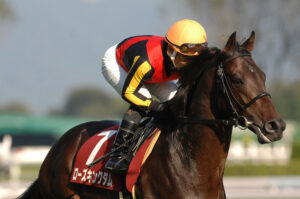 引退馬支援の「いま」