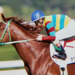 ［牝系図鑑］アグネスフライト、アグネスタキオンを輩出。スピード、スタミナ兼備のイコマエイカン牝系。