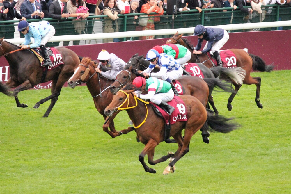 当日出荷] 凱旋門賞 プレミアム 赤 ジャケット 赤 競馬