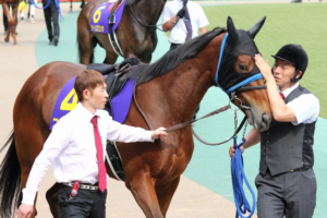 酒井牧場が繋ぐ愛～ココロノアイ引退によせて～