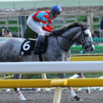 ラニの歴史的挑戦を振り返る②~彼の拓いた道~