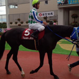 ジャパンジョッキーズカップ2016観戦記