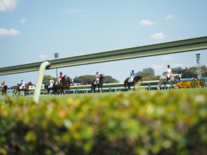 ［牧場インタビュー］期待の良血馬、アンセム