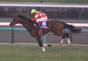 レッドキングダム〜託す者、託される者〜