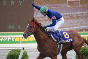 ガイドエッセイ 地方競馬の魅力 競馬場の歩き方 ガイドエッセイ 地方競馬の魅力 競馬場の歩き方