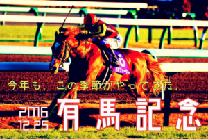 終わりは始まり~7週連続G1第7戦 有馬記念~
