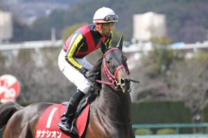 サナシオン～飛越の華～