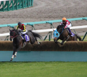 サラブレッドは空を飛ぶ①