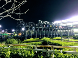 南関東・牝馬3歳クラシック路線について