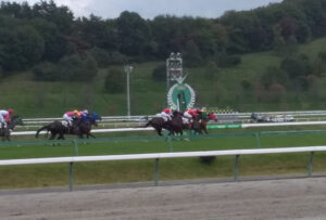 はじめての盛岡、南部杯遠征。