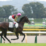 史上23頭目の二冠馬~ドゥラメンテ~