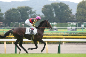 史上23頭目の二冠馬~ドゥラメンテ~