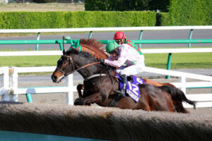 サラブレッドは空を飛ぶ・完結