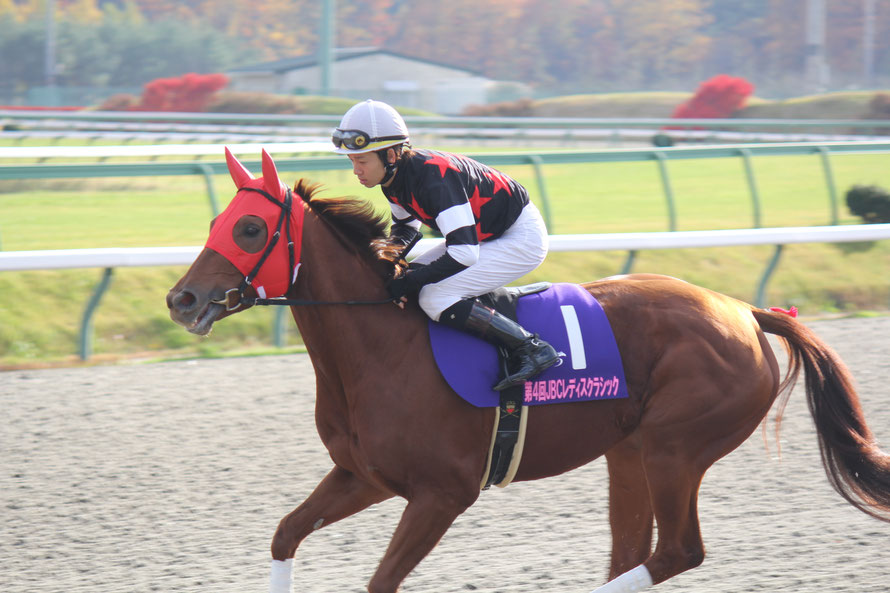 盛岡jbc観戦記 4度のg1ファンファーレが鳴った日 競馬コラム ニュース ウマフリ