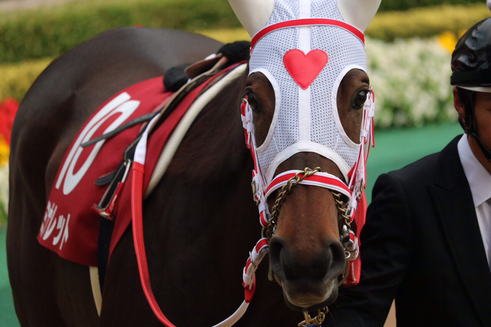 ミルファームのお話 競馬コラム ニュース ウマフリ