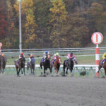 盛岡JBC観戦記~4度のG1ファンファーレが鳴った日~