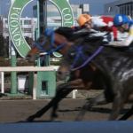 匿名送料無料 苦い ☆希少 現地的中 単勝馬券 ☆エイシン