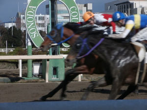 近畿3歳クラシック路線について