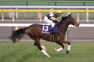 ストレイトガール～ひたむきに、明るく～