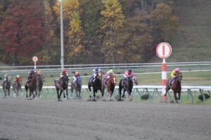 JBC観戦記~2014年・盛岡編~