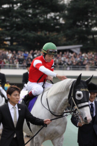 夢、駆ける