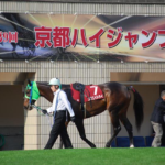 コウエイトライ〜ハードル界の「姐さん」〜