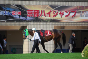 コウエイトライ〜ハードル界の「姐さん」〜