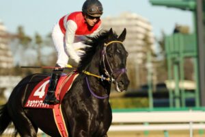 ［牧場インタビュー］マイティドリームについて