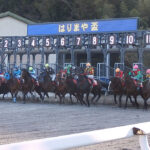 南国土佐 高知競馬場