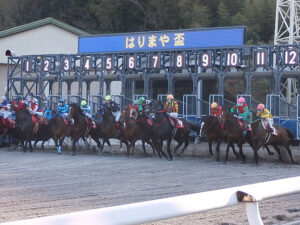 南国土佐　高知競馬場