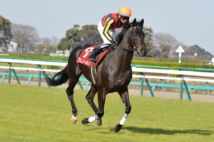 ジンクスを打ち破れ!~ダービー2着の青葉賞勝ち馬たち~