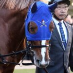 戦い続けた美麗なる騎士・ナカヤマナイト