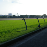 みちての珍名道中膝栗毛~競馬の祭典にだって珍名馬の巻~