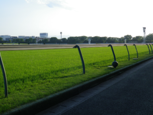 みちての珍名道中膝栗毛～競馬の祭典にだって珍名馬の巻～