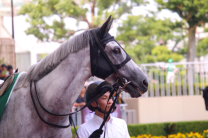 雲が晴れたら～アップトゥデイト～