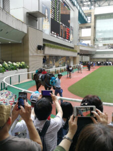 歴史をつくれ、オジュウチョウサン。〜開成山特別観戦記〜