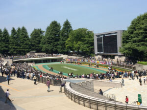 ダービーのお話〜その国内外の歴史とは〜