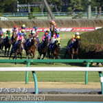 アポロマーベリック~大障害コースに咲いた華~