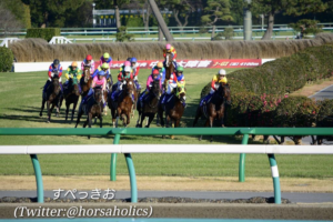 アポロマーベリック～大障害コースに咲いた華～