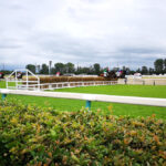 父と、競馬場へ。〜新潟ジャンプステークス観戦記〜
