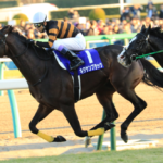 キタサンブラック~穴馬から絶対的王者へ〜