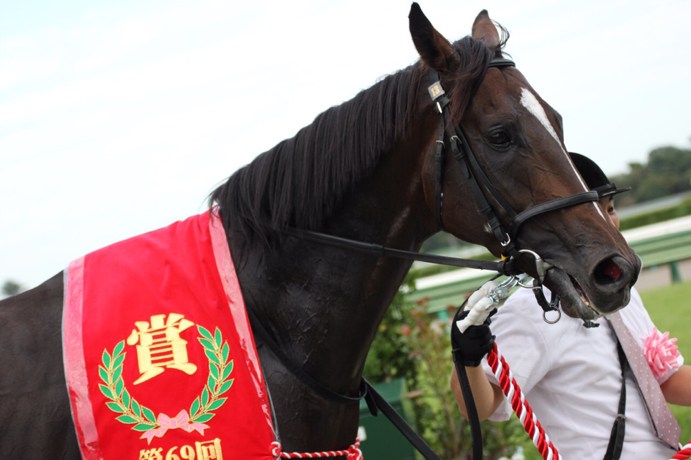 キタサンブラック～穴馬から絶対的王者へ〜 - 競馬コラム＆ニュース