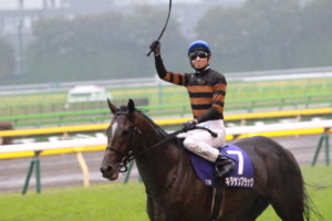 ［テーマトーク］あなたの好きなステイヤーは？〜長距離戦を戦い抜いた名馬たち〜