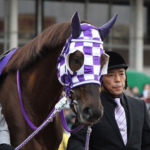 フリオーソと川崎記念〜5度の挑戦〜
