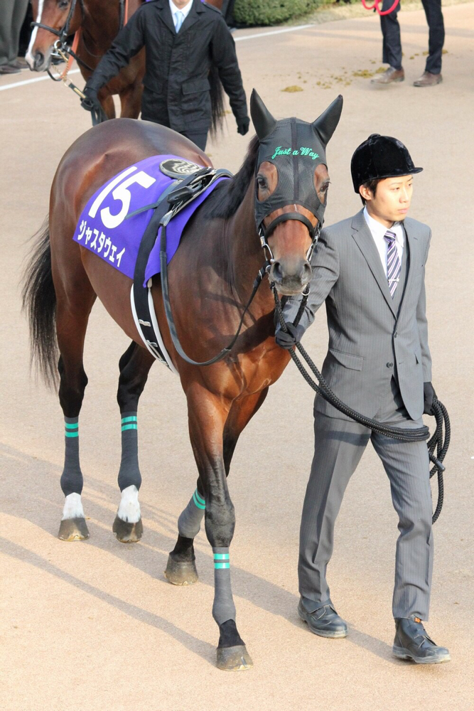 ジャスタウェイ〜主役は遅れてくるくらいが丁度いい〜〔後編〕 | ウマフリ | 競馬コラム＆ニュース