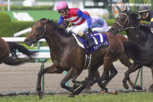 亡きオーナーの夢を追って〜凱旋門賞2着馬・ナカヤマフェスタ〜