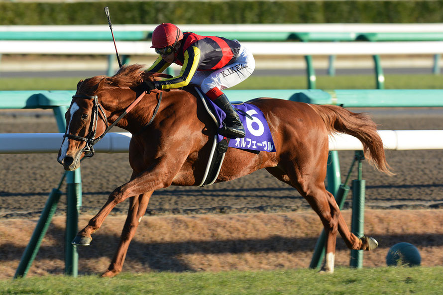 世界基準のスーパーホース～無敵の三冠馬・オルフェーヴル～ | 競馬コラム＆ニュース「ウマフリ」