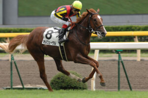 ［スプリングS］中山芝1800ｍから世代の頂点へ。スプリングSを制し、のちにダービー馬となった名馬たちを振り返る