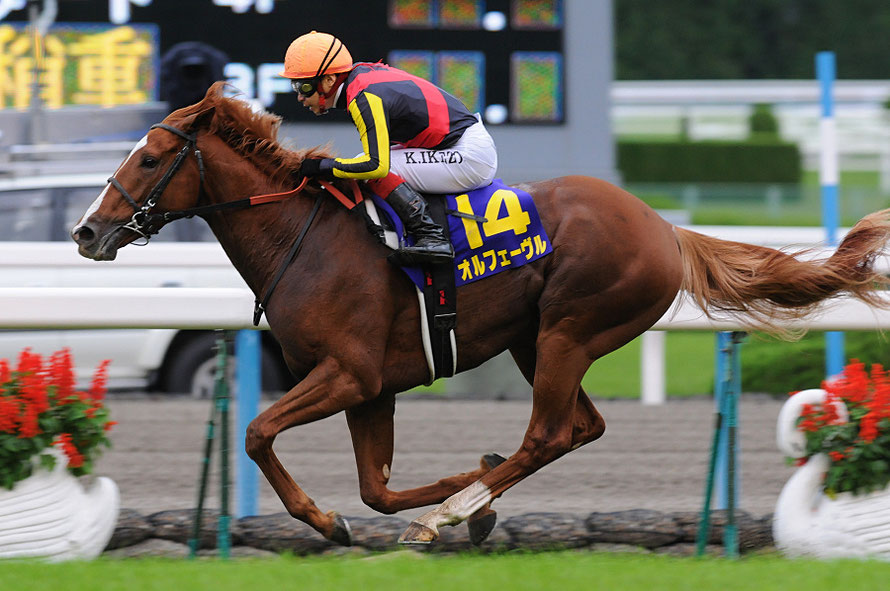 世界基準のスーパーホース～無敵の三冠馬・オルフェーヴル～ | ウマフリ | 競馬コラム＆ニュース